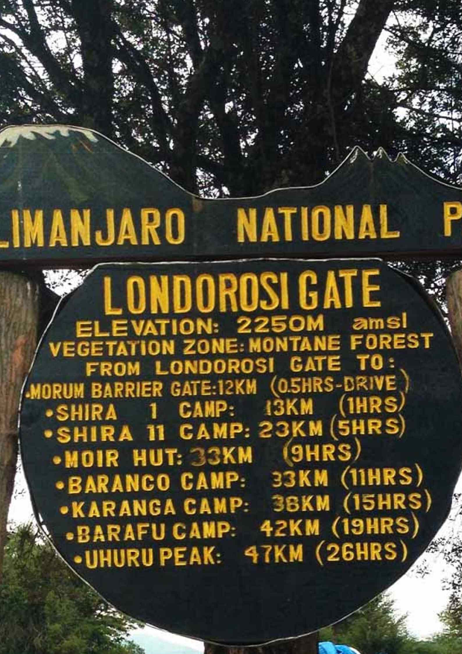 Kilimanjaro Lemosho Route