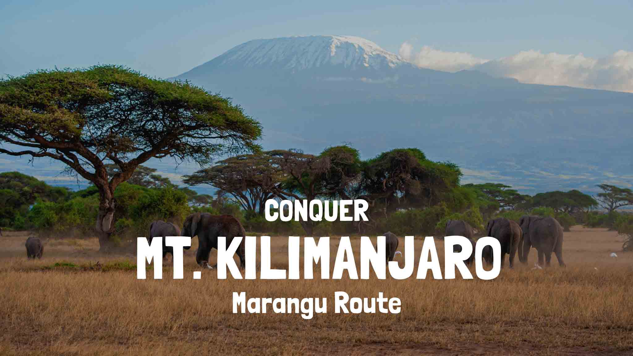 Climbing Kilimanjaro Machame Route