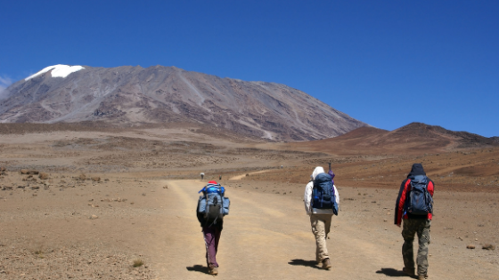 Kilimanjaro day hike