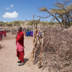 Maasai village