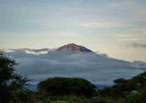 Olpopongi Maasai cultural village