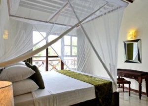 amaan beach bungalows, nungwi, zanzibar