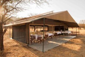 kati kati tented camp, serengeti, tanzania