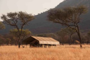 kati kati tented camp, serengeti, tanzania