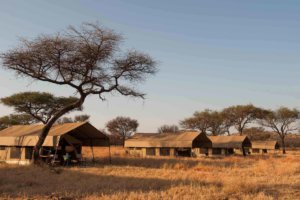 kati kati tented camp, serengeti, tanzania