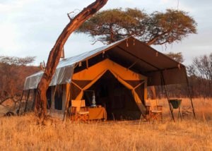 kati kati tented camp, serengeti, tanzania