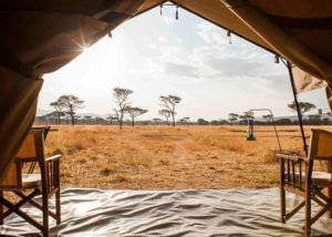 kati kati tented camp, serengeti, tanzania