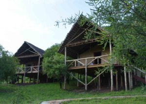 sangaiwe tented lodge, tarangire, tanzania