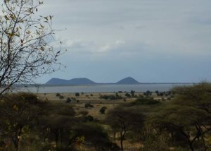 sangaiwe tented lodge, tarangire, tanzania