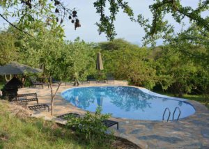 sangaiwe tented lodge, tarangire, tanzania