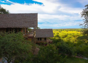 sangaiwe tented lodge, tarangire, tanzania