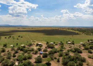 sound of silence, serengeti, tanzania