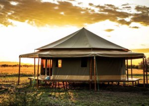 sound of silence, serengeti, tanzania