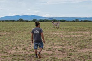 Enduimet Wildlife Management Area Walking Safari