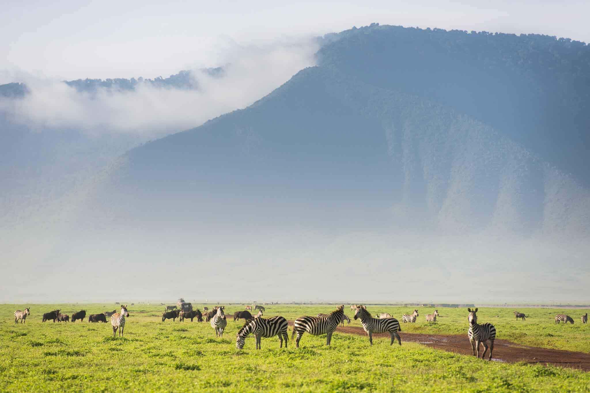 ngorongoro conservation area