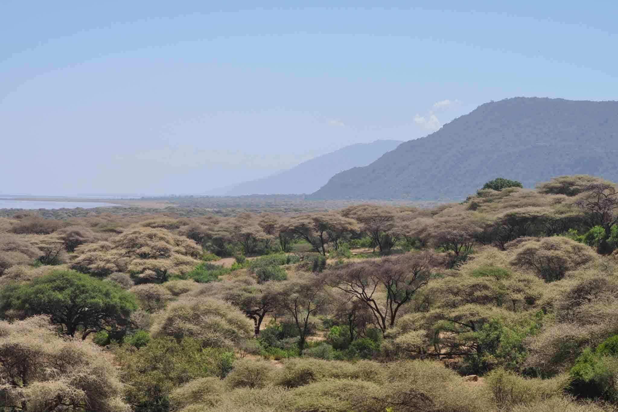 lake manyara national park