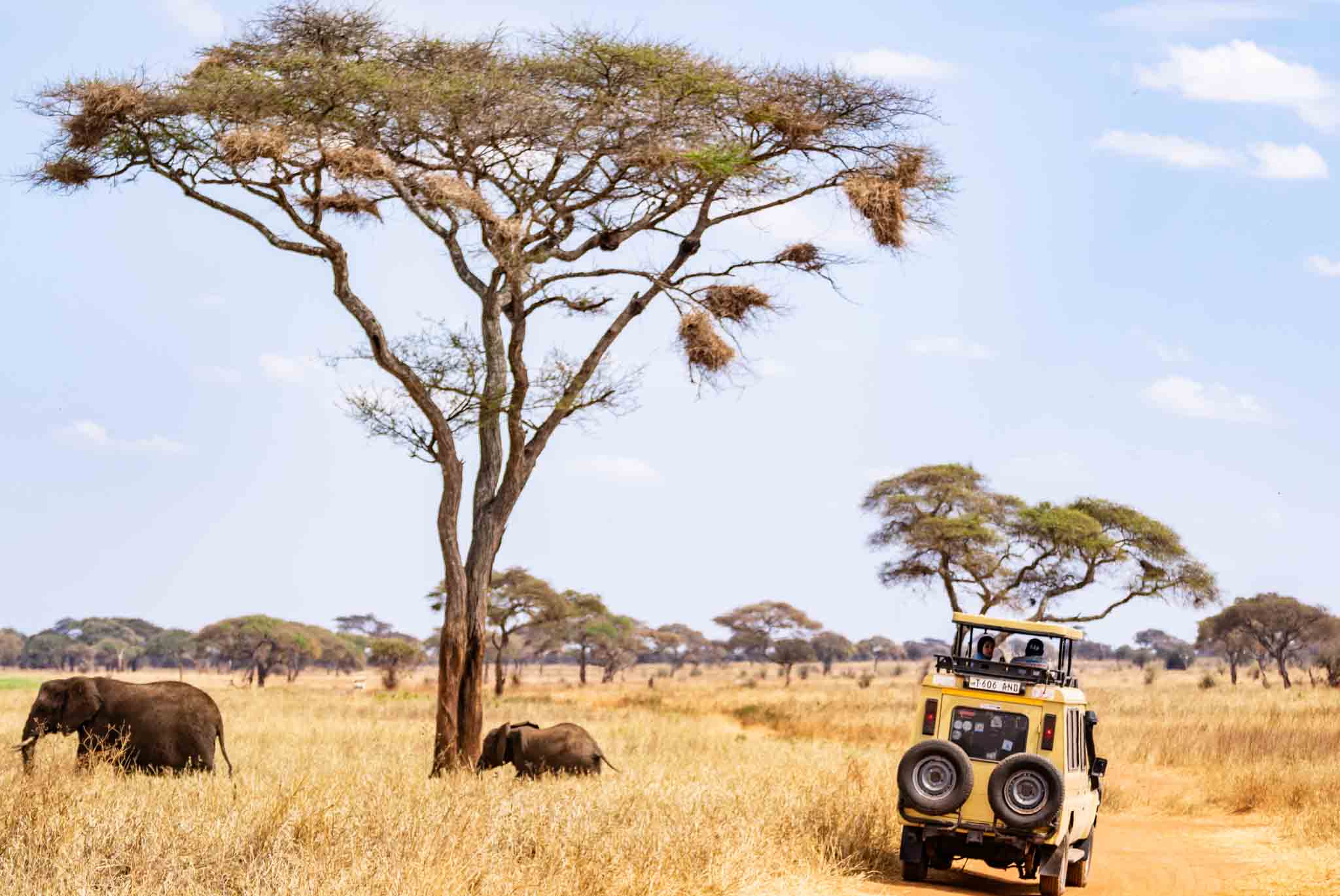 tarangire national park