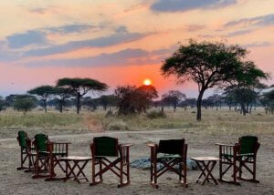 Honey Guide Camp Tarangire Tanzania