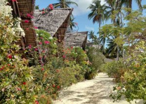 Belvedere Resort Zanzibar Tanzania