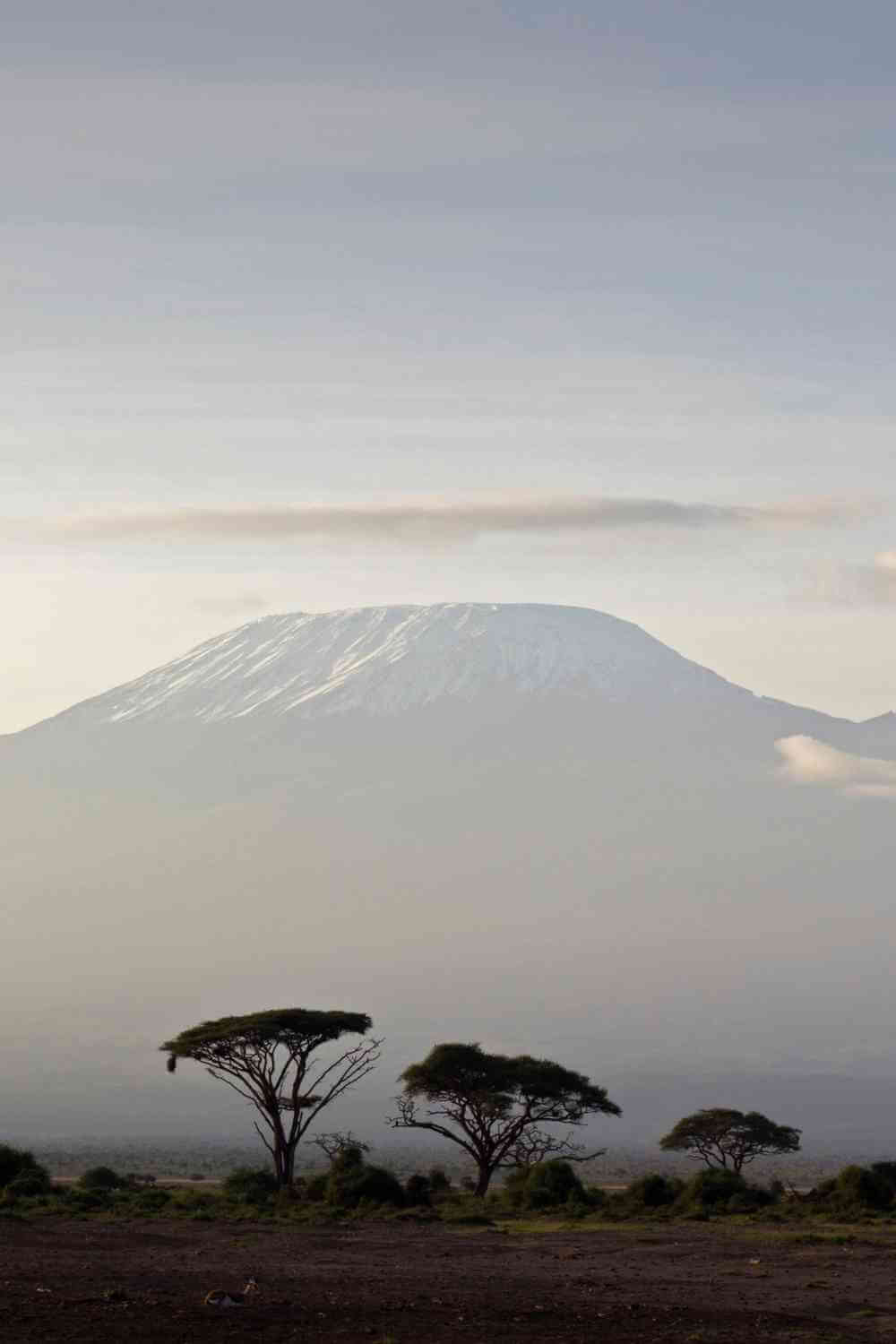 Kilimanjaro Northern Circuit Route