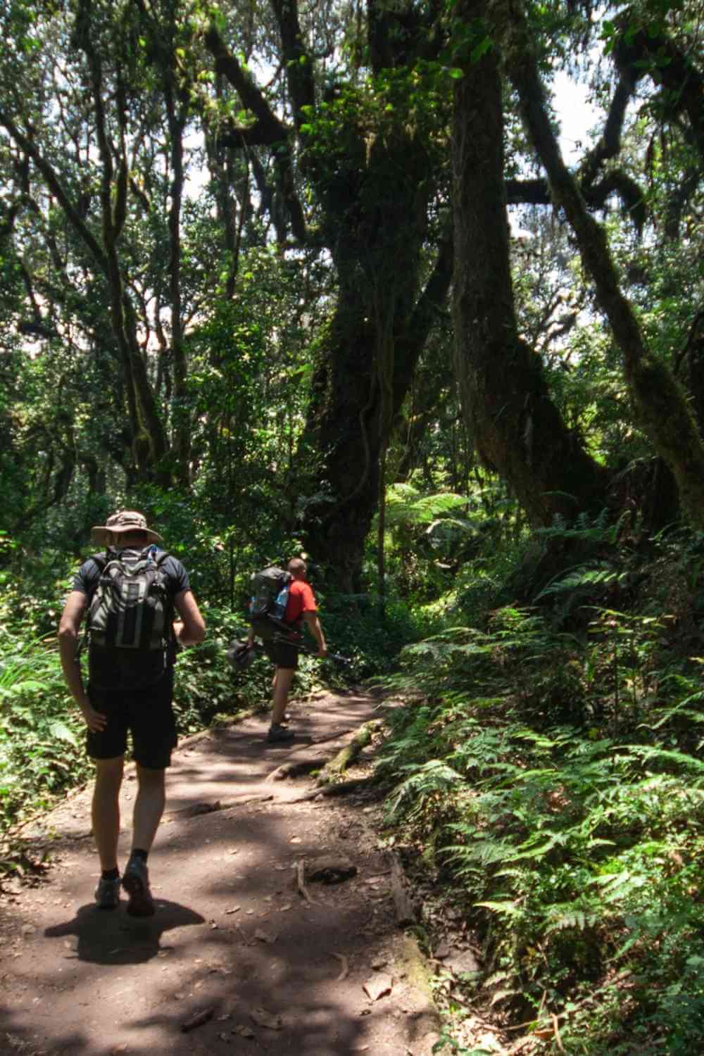 Kilimanjaro Northern Circuit Route