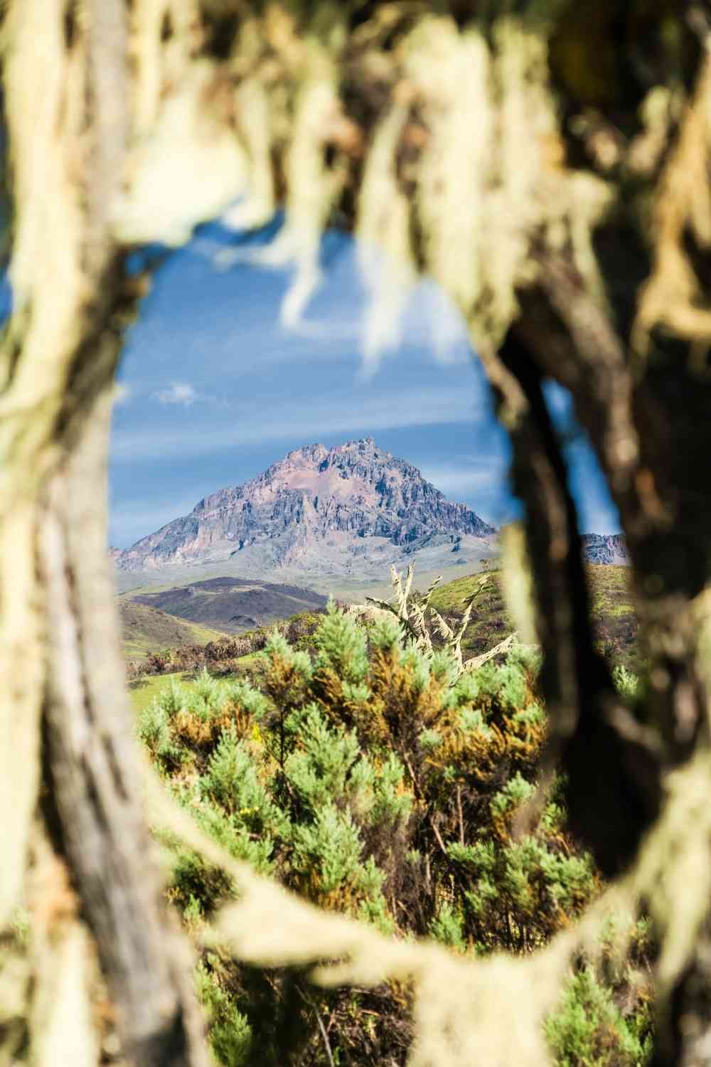 Kilimanjaro Rongai Route