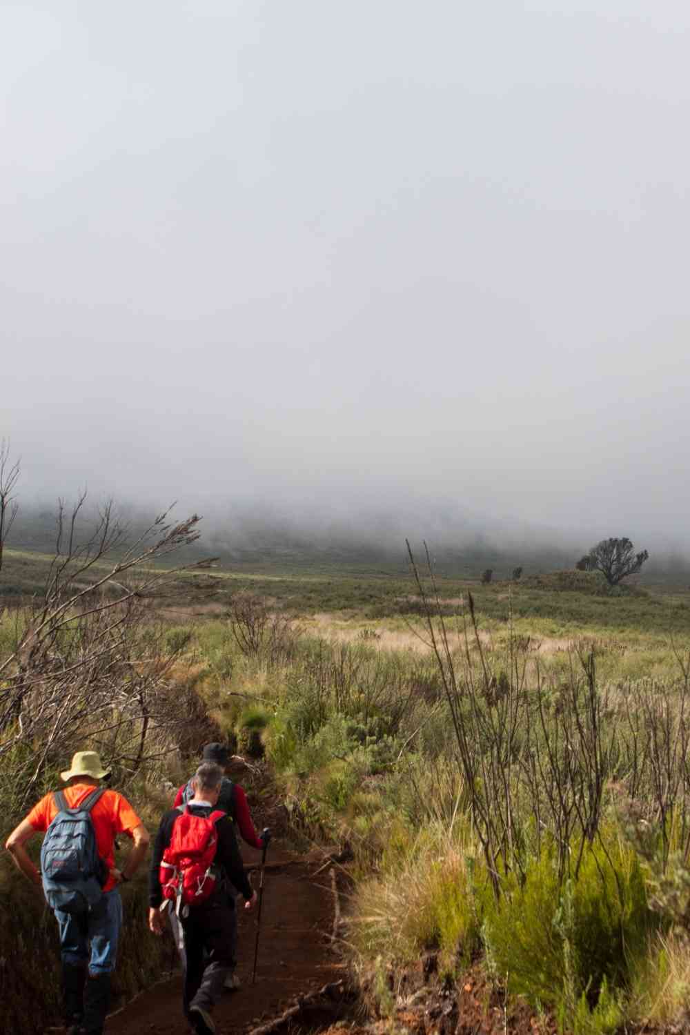 Kilimanjaro Rongai Route