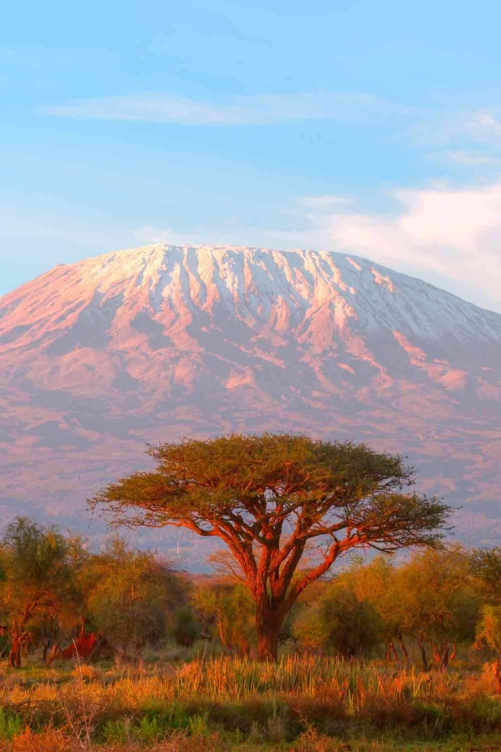 Kilimanjaro Rongai Route