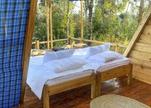 Foresight Eco Lodge Tiny House - Beds