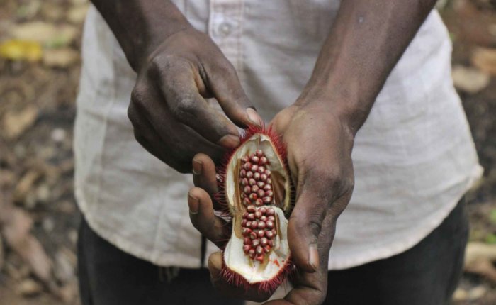 Zanzibar Spice Tour, Stone Town