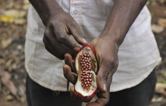 Zanzibar Spice Tour, Stone Town