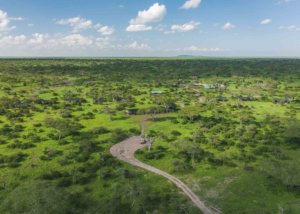 Lemala Mara & Ndutu Tented Camp, Tanzania