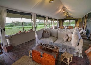 Lemala Mara & Ndutu Tented Camp, Tanzania