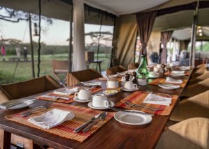 Lemala Mara & Ndutu Tented Camp, Tanzania