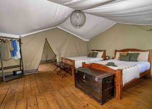 Lemala Mara & Ndutu Tented Camp, Tanzania