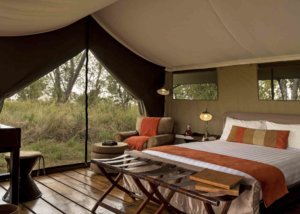 Lemala Mara & Ndutu Tented Camp, Tanzania