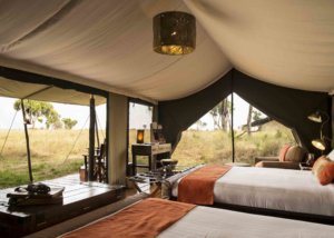 Lemala Mara & Ndutu Tented Camp, Tanzania