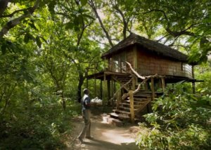 AndBeyond Lake Manyara Tree Lodge Tanzania