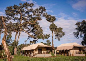 Ang'ata Ngorongoro Tanzania