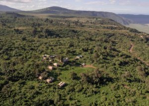 Ang'ata Ngorongoro Tanzania