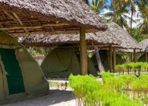 Butiama Marine Camp, Mafia Island, Tanzania