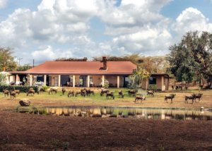 Wildlife Residence Tuvaila, Tanzania