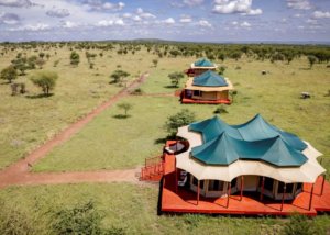 Acacia Seronera Luxury Camp, Serengeti, Tanzania