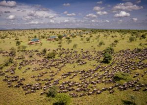 Acacia Seronera Luxury Camp, Serengeti, Tanzania