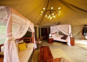 Suenos de Africa Luxury Camp, Serengeti, Tanzania