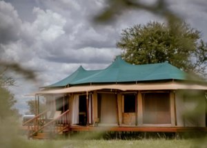 Acacia Seronera Luxury Camp, Serengeti, Tanzania